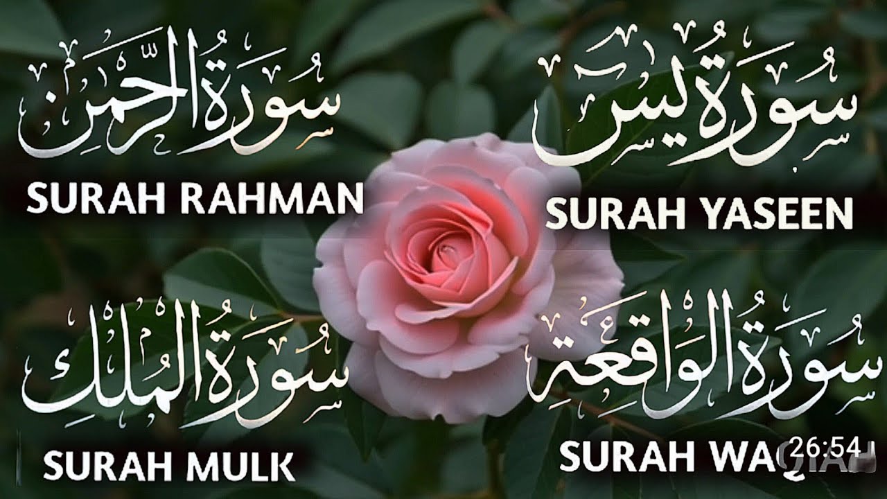 Surah Yaseen | Surah Rahman | Surah Mulk | Surah Waqiah | Beautiful Quran Recitation Ep 120