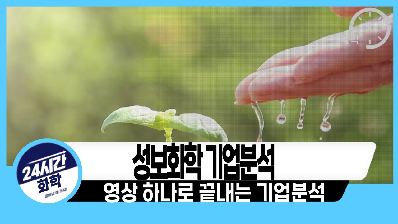 [성보화학 기업분석] 기본은 알고 투자하자, 성보화학