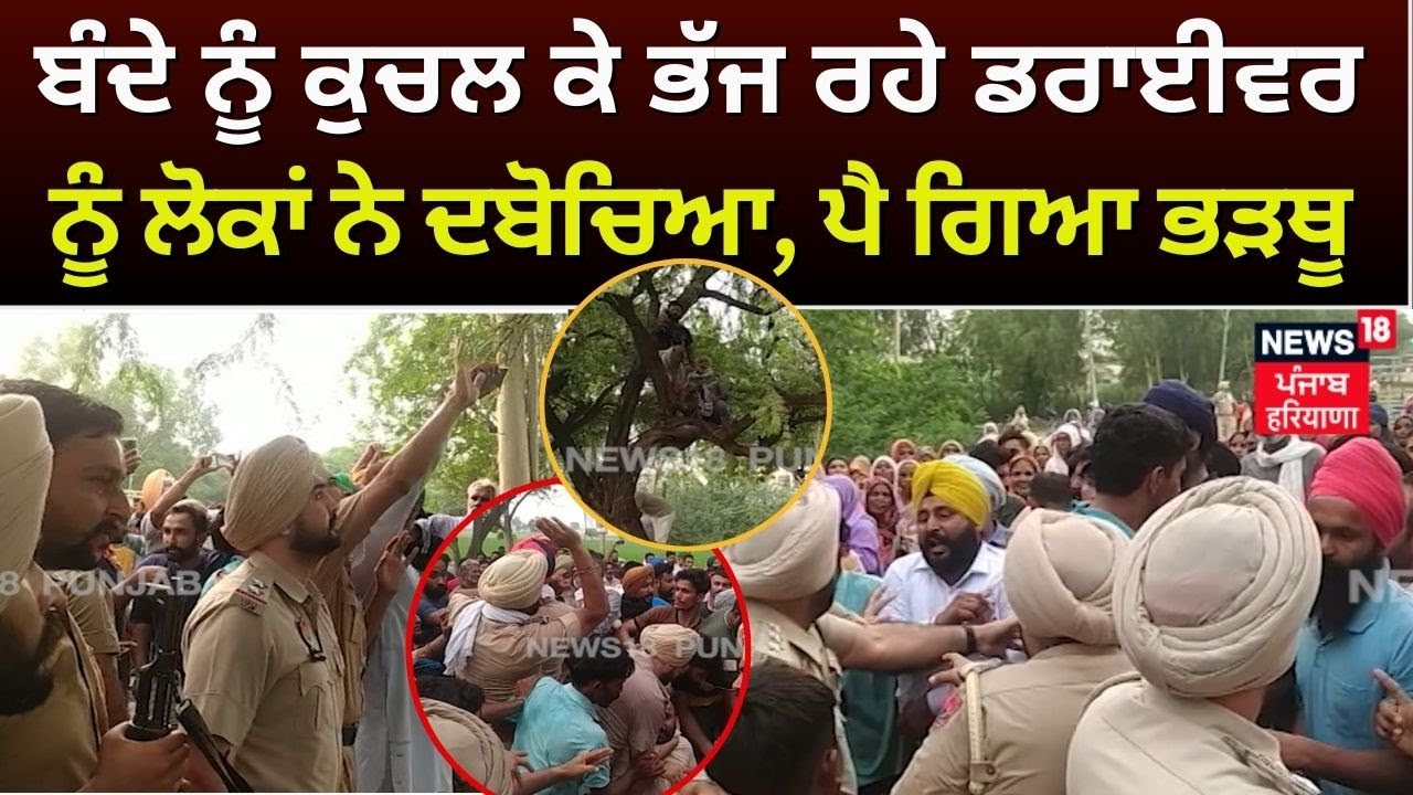 Malout News | ਟਰੱਕ ਹੇਠਾਂ ਕੁਚਲ ਦਿੱਤਾ ਮਾਪਿਆਂ ਦਾ ਕੱਲਾ-ਕੱਲਾ ਪੁੱਤ, ਲੋਕਾਂ ਨੇ ਦਬੋਚ ਲਿਆ ਭੱਜਦਾ ਡਰਾਈਵਰ| News18
