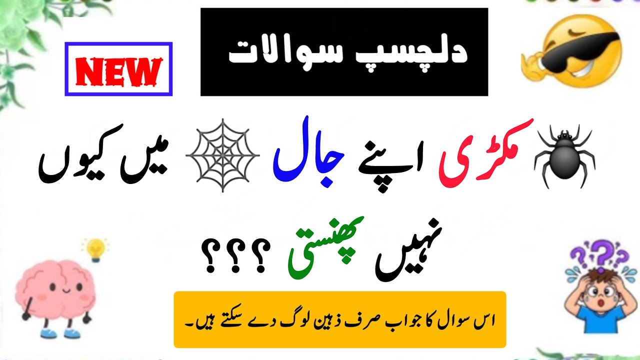 Spider apne jaal main kayun nahi phansti ??? I #ilmkispeech 