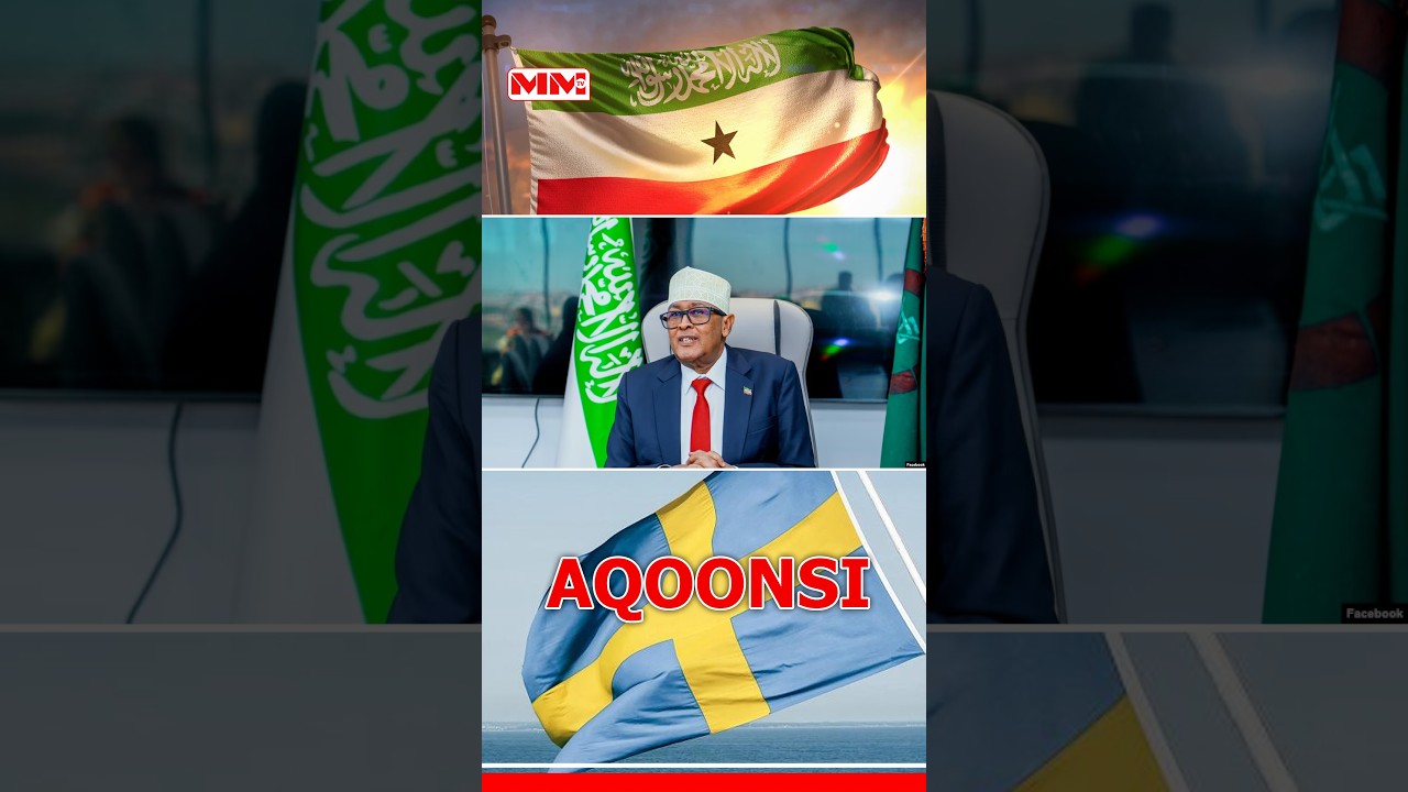 Laba Xisbi oo Sweden ka Jira oo sheegay in ay Somaliland Aqoonsadeen