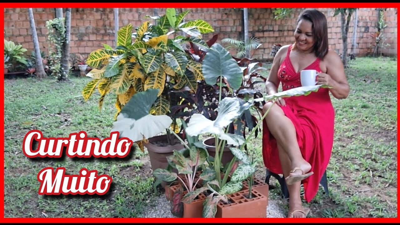 MEU JARDIM DO SÍTIO DEPOIS  DE UM MÊS  AQUI. NEM PARECE O MESMO LUGAR😍