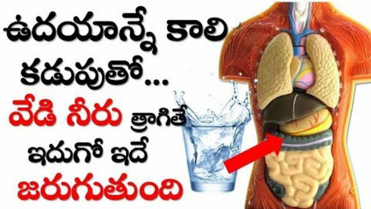 పొద్దున్నే ఖాళీ కడుపుతో గ్లాస్ వేడి నీటిని త్రాగితే మీ శరీరంలో ఏం జరుగుతుందో తెలిస్తే అస్సలు వదలరు
