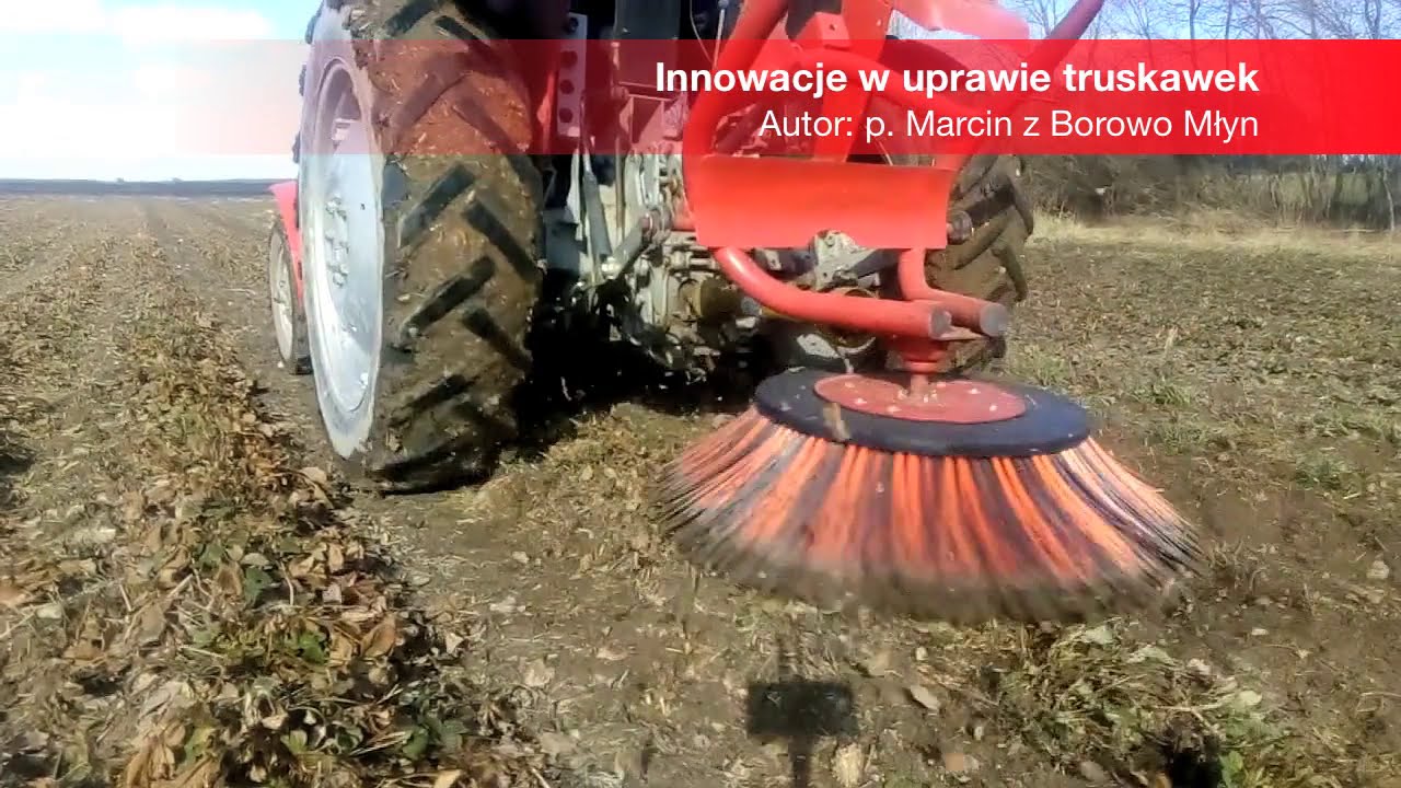Szczotka do truskawek na 2 rzędy (m-ki WERNER)