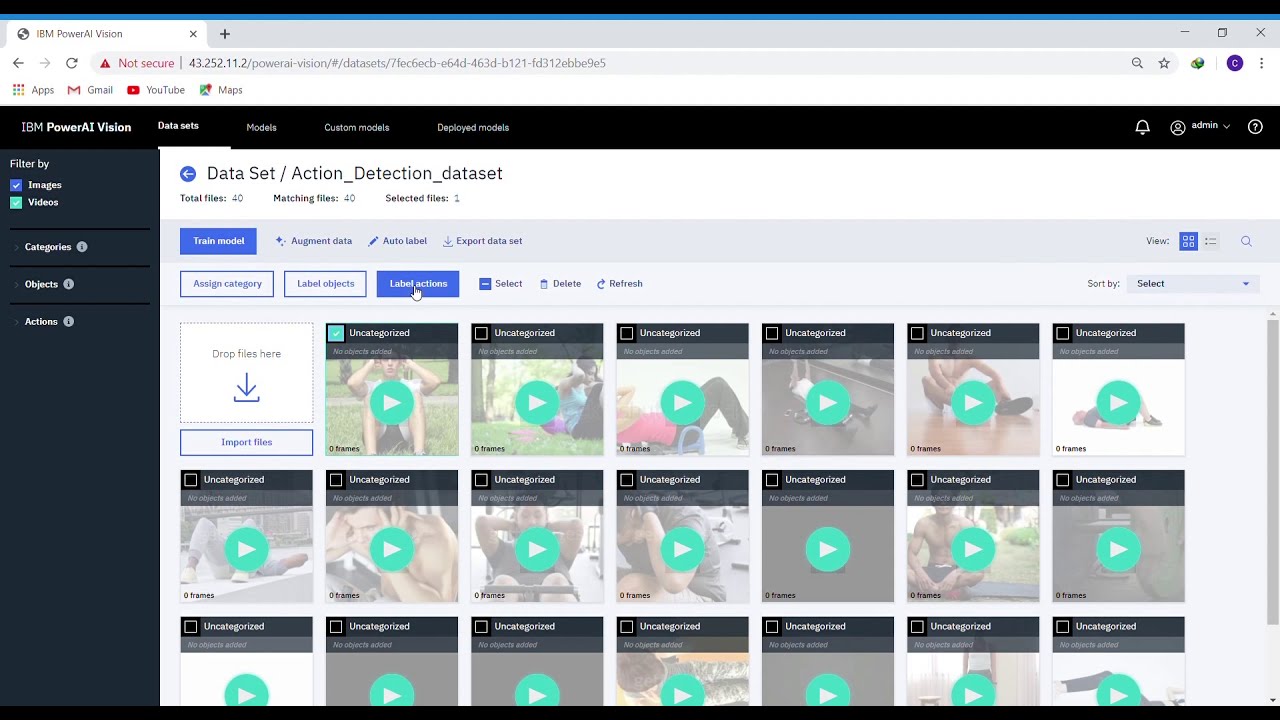 IBM PowerAI Vision - Action Detection Demo