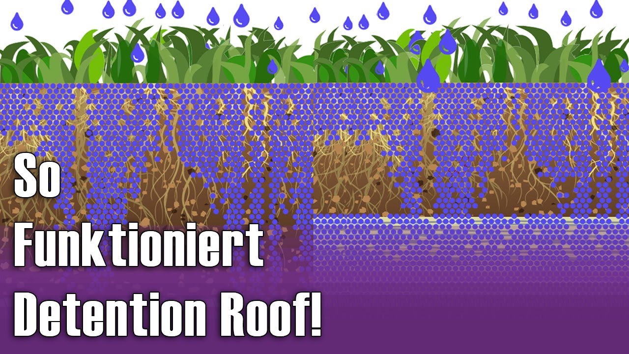 So Funktioniert Detention Roof!