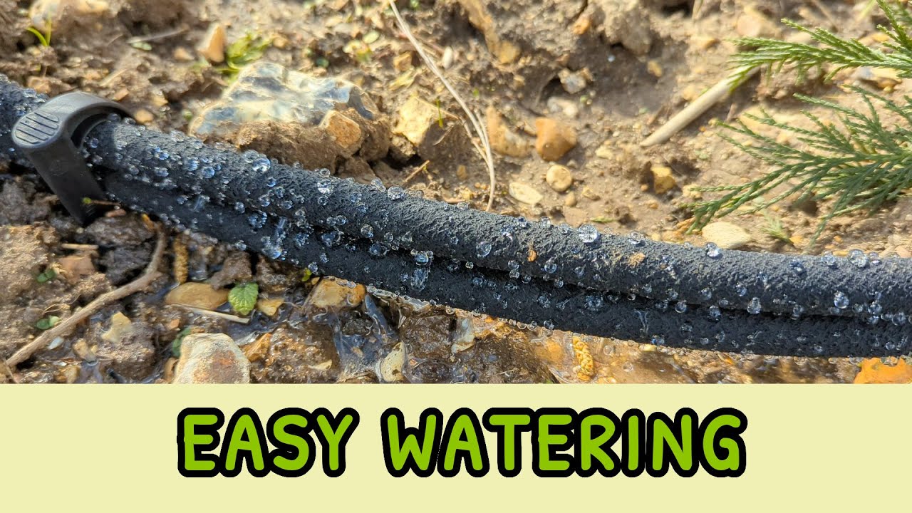 EASY WATERING | Water Irrigation | Hedge Update | Soaker Hose