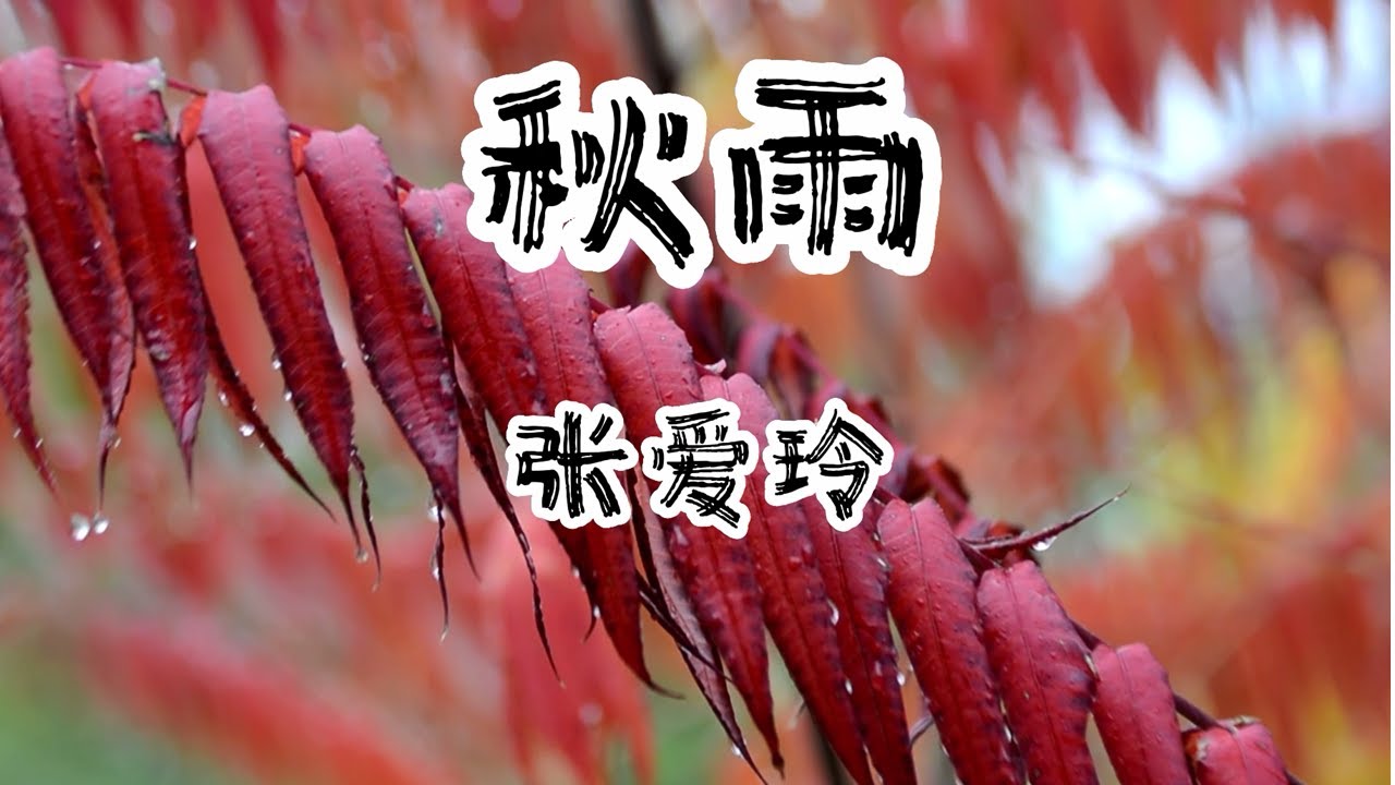 Eileen Chang-  Autumn Rain 朗诵：张爱玲《秋雨》