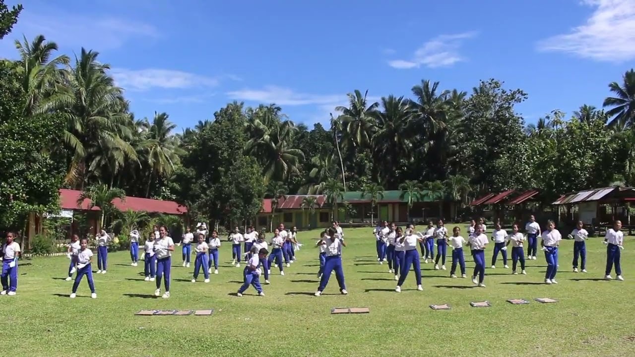 SAMA SAMA SA WELLNESS 2025 DALAMA INTEGRATED SCHOOL ELEMENTARY CATEGORY, TUBOD EAST DISTRICT