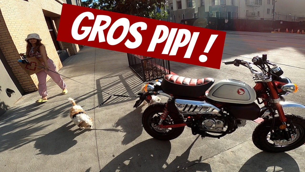 Son Tchoukel pisse sur ma moto