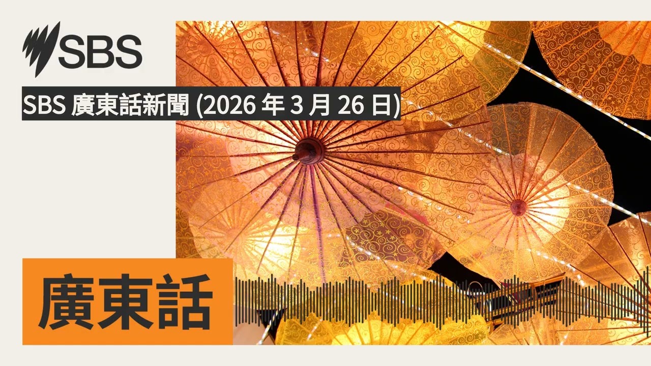 SBS 廣東話新聞 (2026 年 3 月 26 日) | SBS Cantonese - SBS廣東話節目