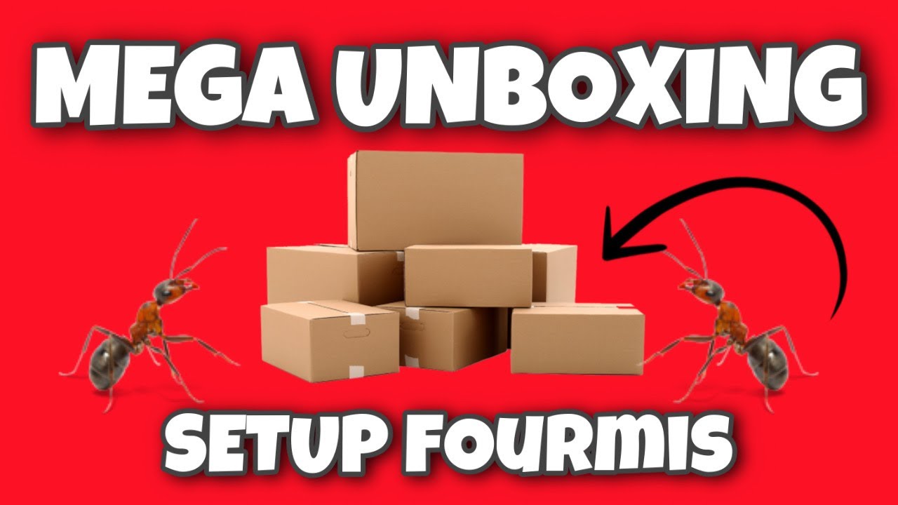 UNBOXING SETUP ET MATÉRIEL POUR MES FOURMIS