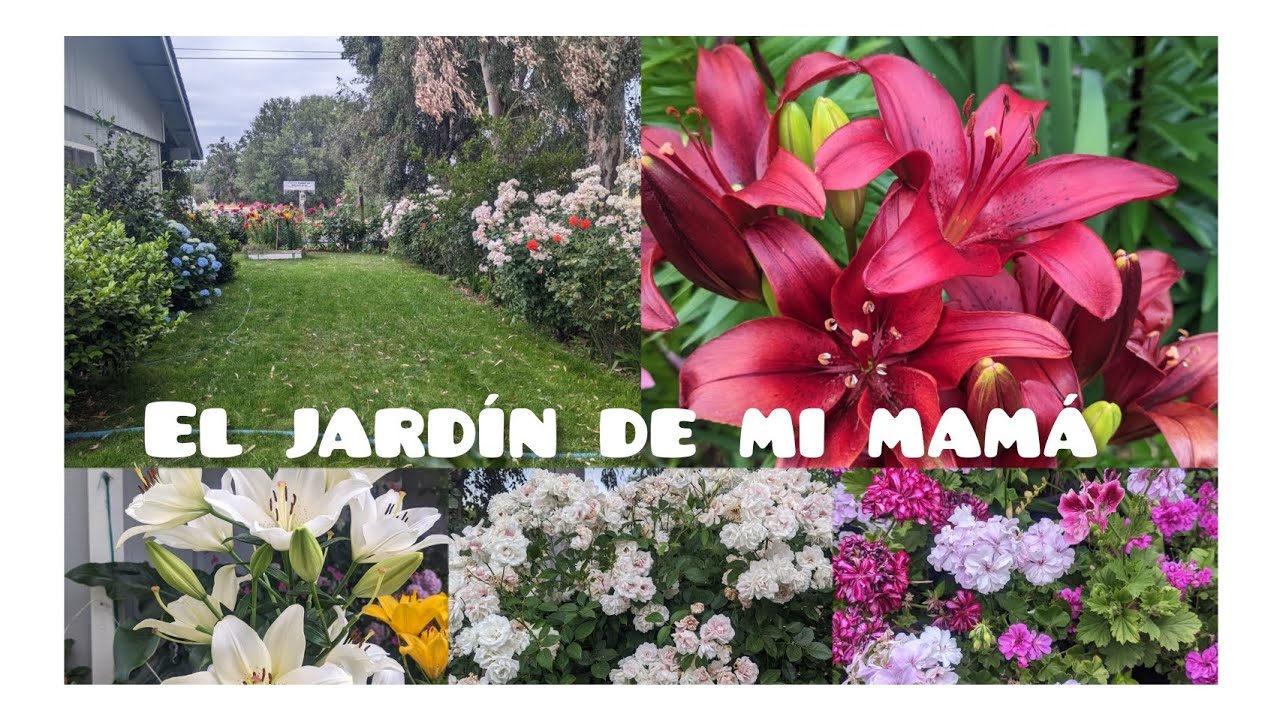 Tour por el jardín de mi mamá del mes de junio