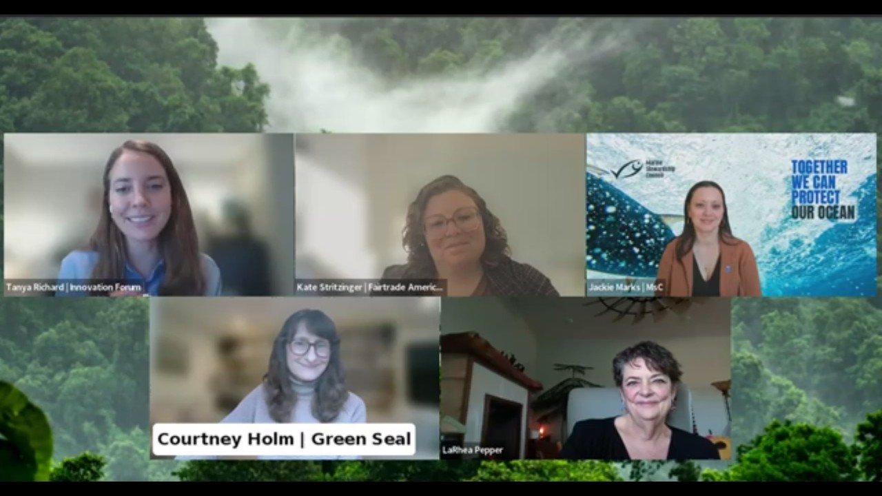 Building credibility in sustainability storytelling: How NGOs can strengthen trust (webinar)