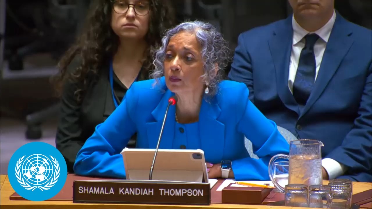 Working methods of the Security Council - Briefing | United Nations