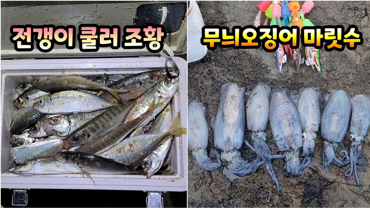 제가 아는 최고의 방파제 / 전갱이, 무늬오징어 캠핑 낚시