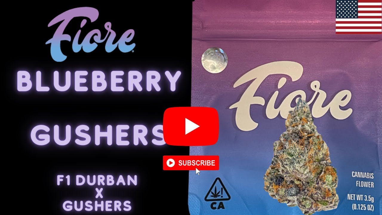 Blueberry Gushers by Fiore Genetics (Gushers x F1 Durban) Super Frosty