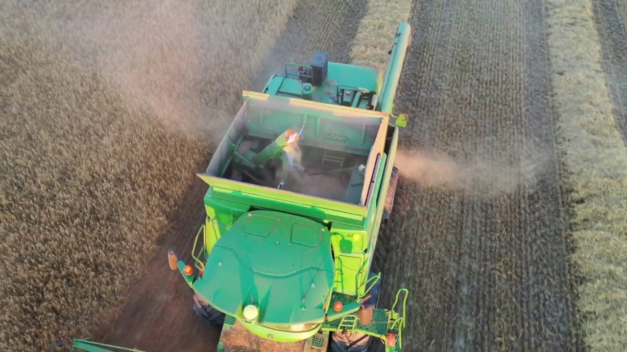 Harvest 2020