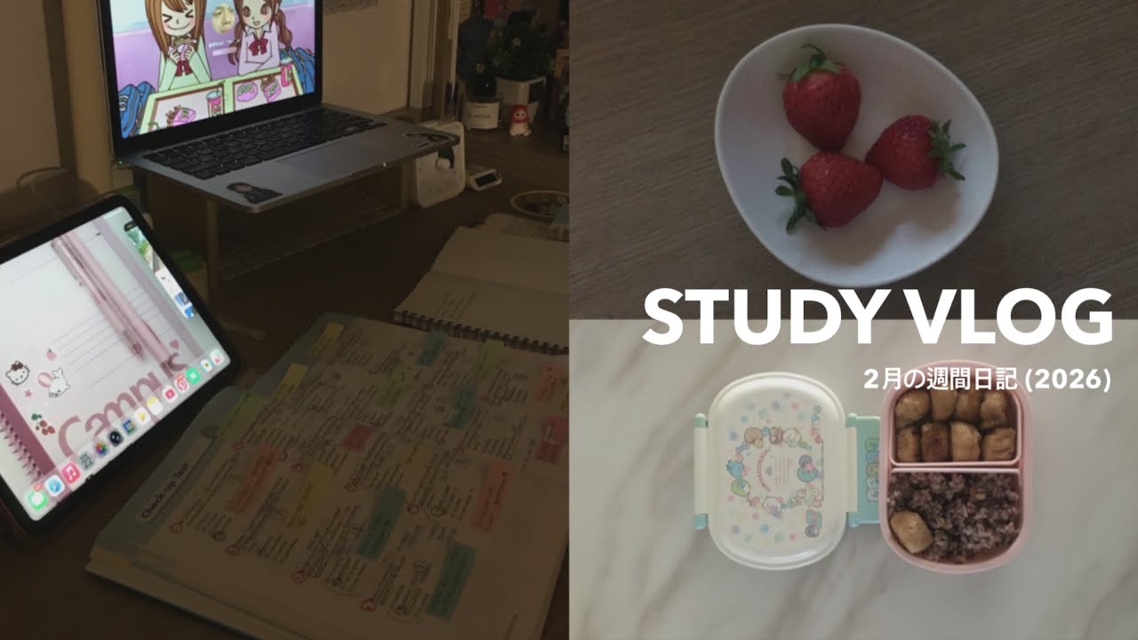 잔잔한 일상으로 채우는 study vlog 🫧 ⁺. ⊹˚₊ ₊·(도서관 매일 가기, 그릭요거트 만들기, 자격증 공부, 운동…)