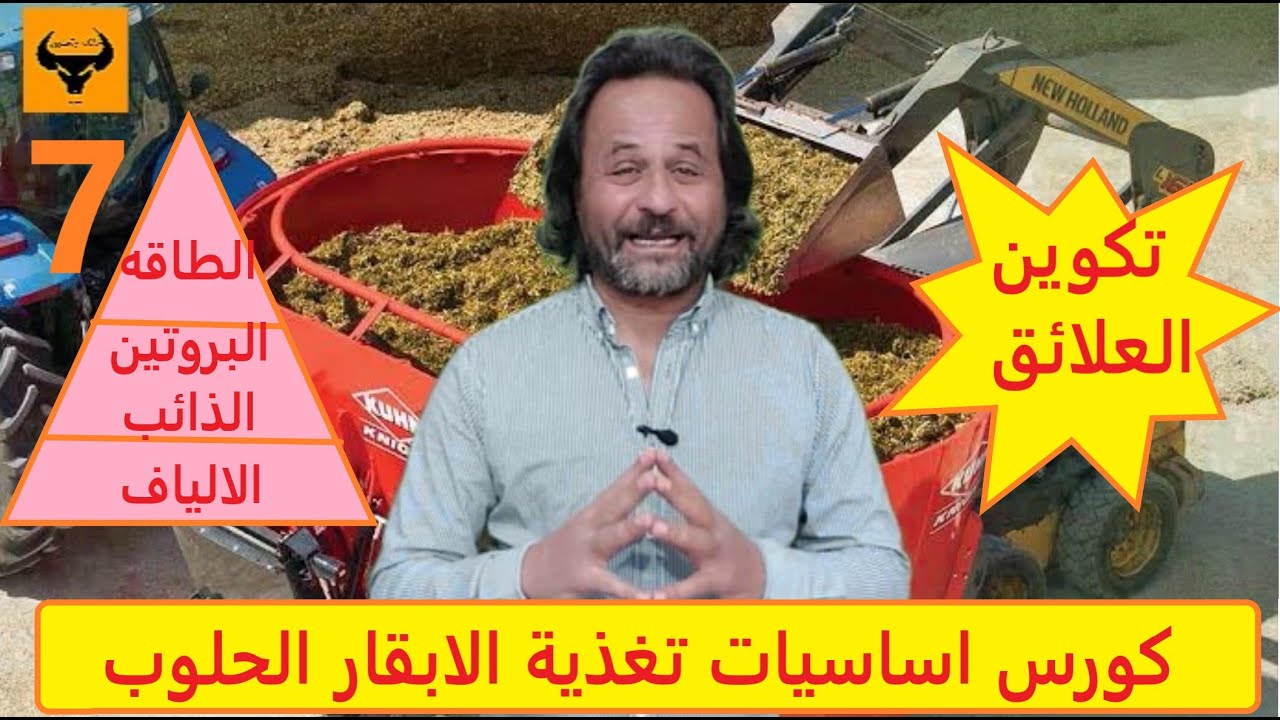 تركيب علائق الابقار الحلوب، حساب البروتين والطاقة، دورة تدريبية في  تغذية الابقار الحلوب, ا لدرس 7