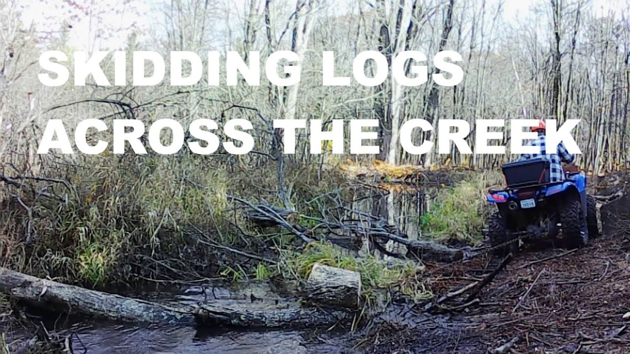Skidding Logs, Last of the Free Wood