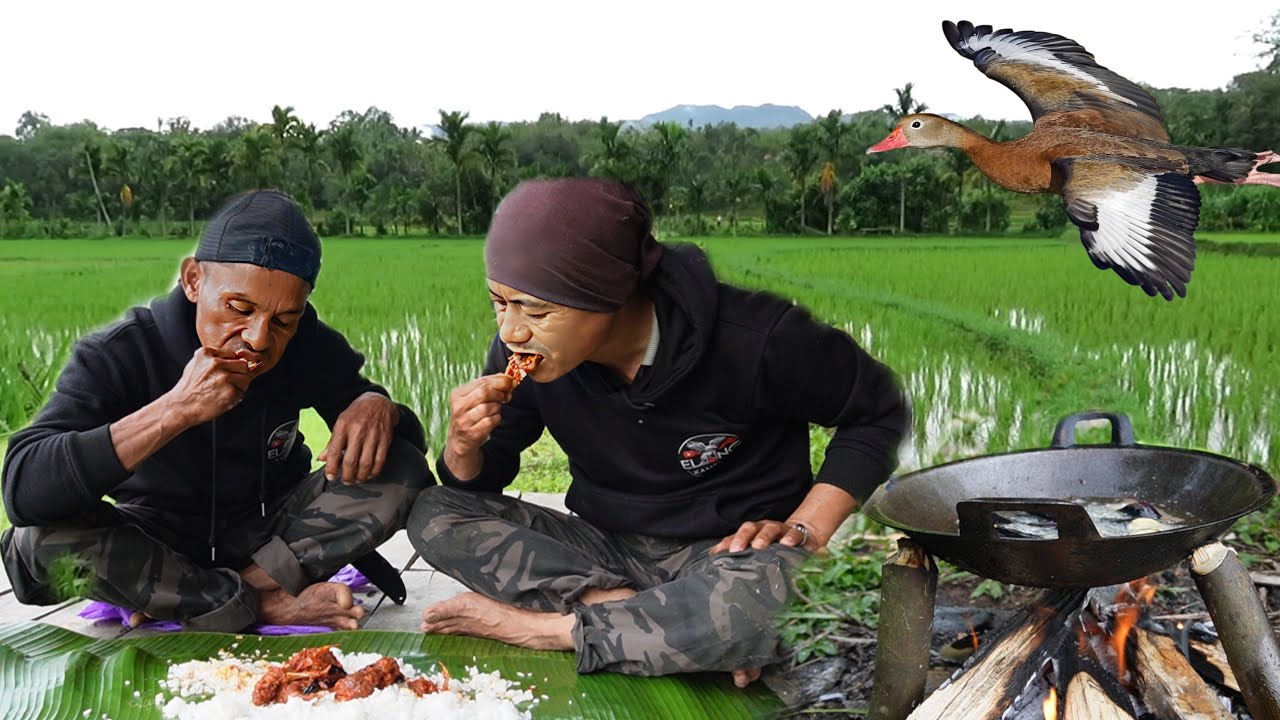 BERBURU BURUNG RUAK RUAK BUAT DI MASAK NIKMAT DI PONDOK SAWAH 