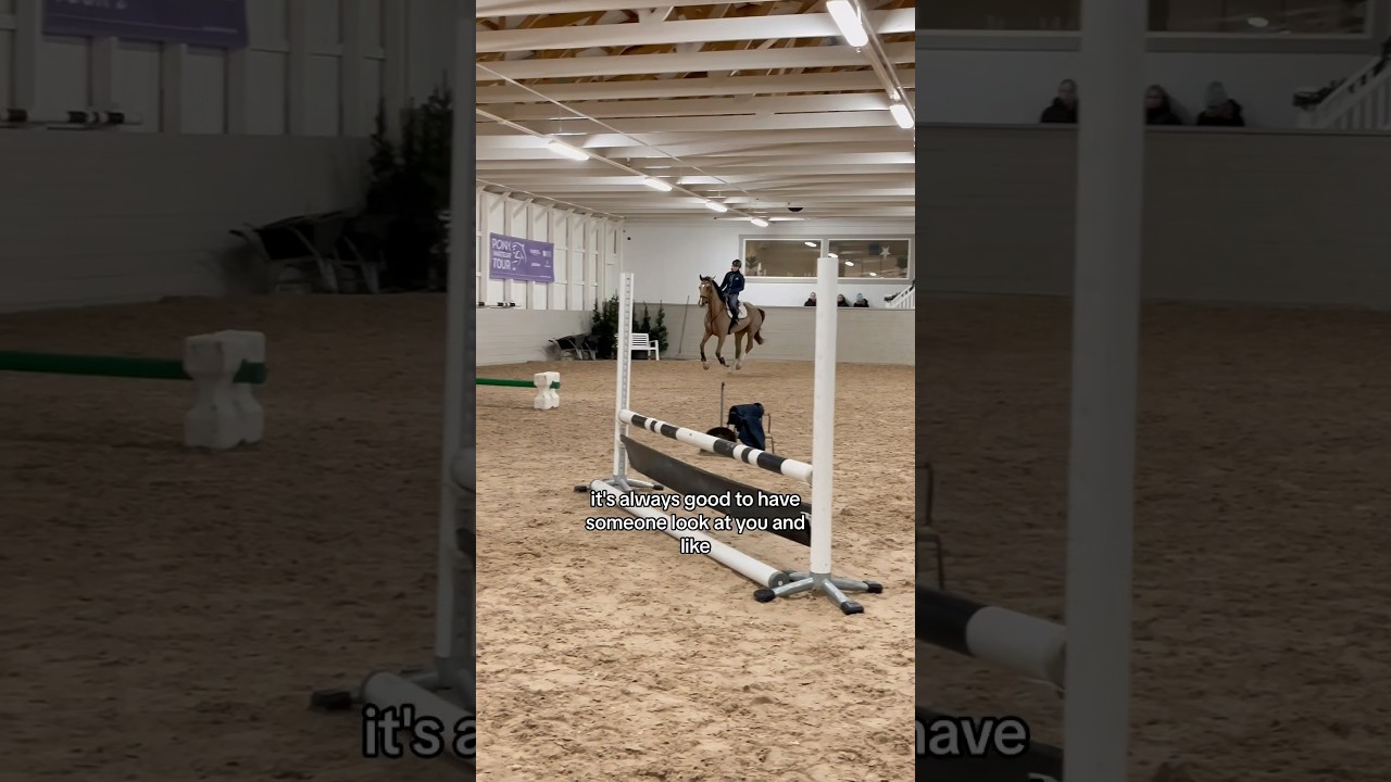 First ever training with my 4-year old🐴💕 #horse #horserider #equestrian #rider #horseriding