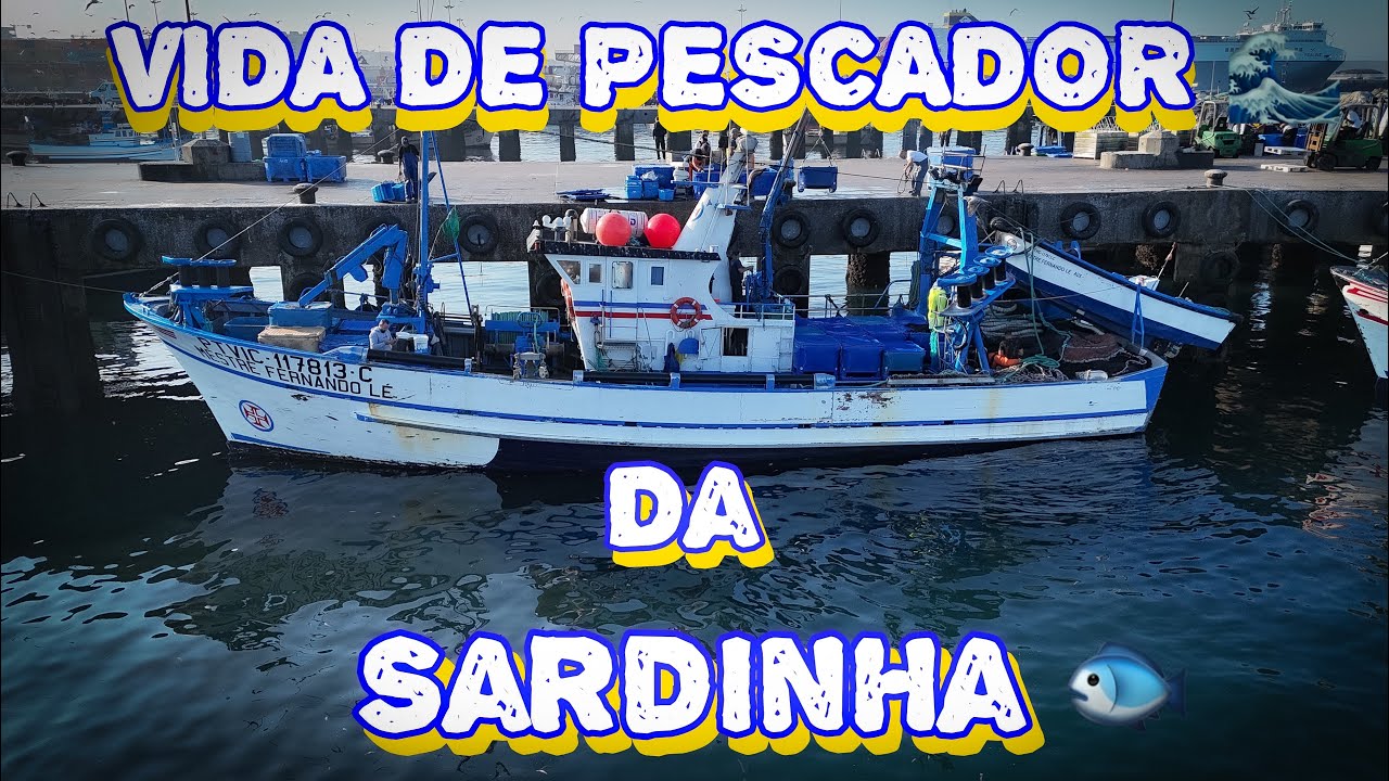 A Verdadeira Vida do Pescador da Sardinha em Portugal 🐟