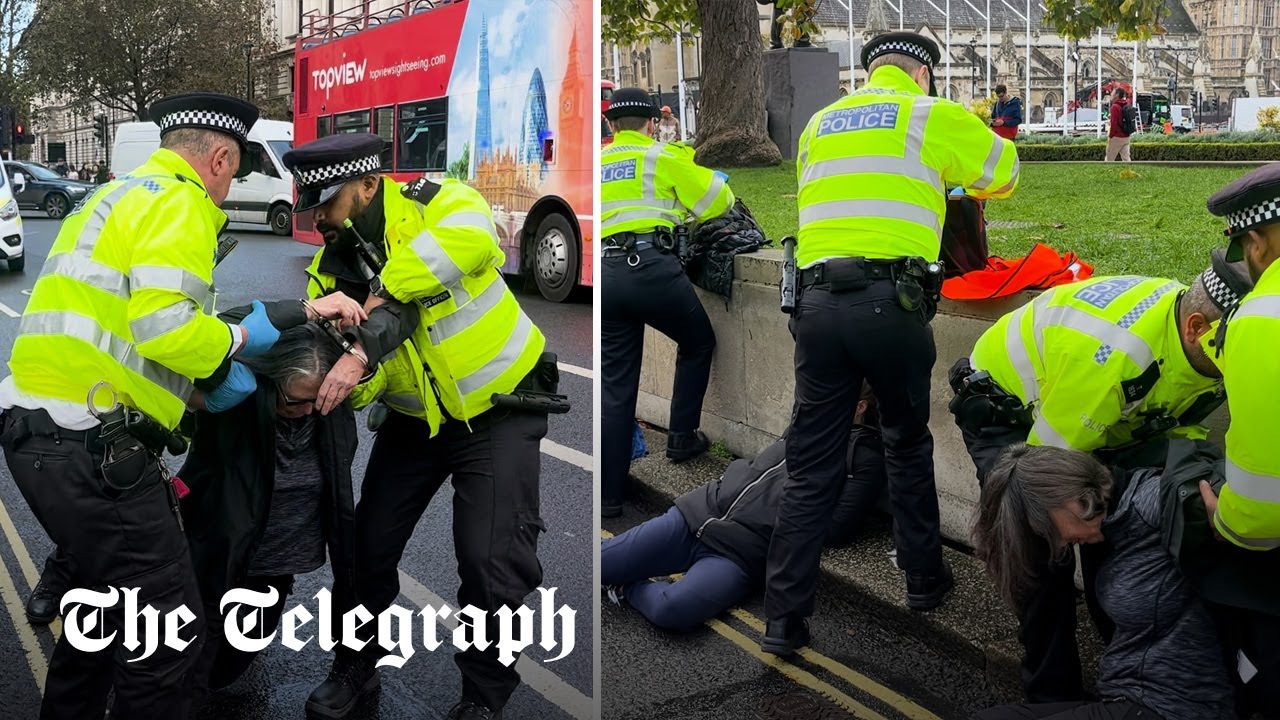 Just Stop Oil activists carried spread-eagle into police vans during 'slow march' protest