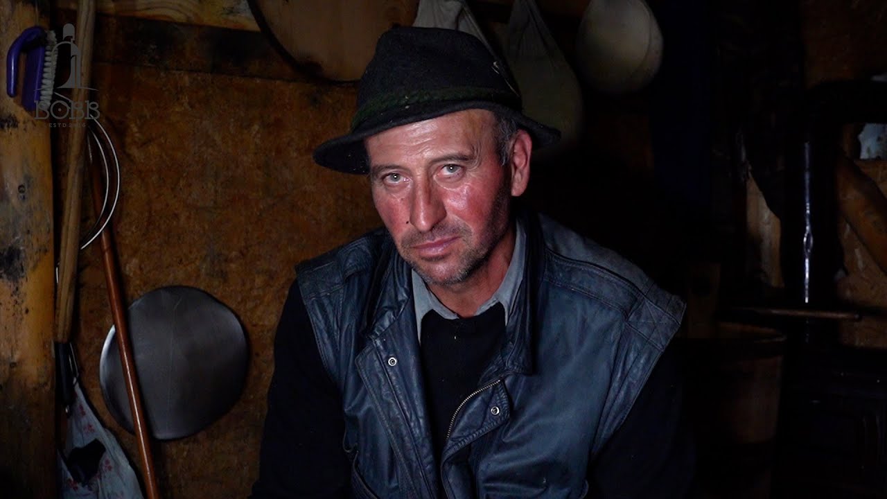 Toamna târziu la stâna lui MITRU TURCU din munții Rodnei | Mămăligă cu BRÂNZĂ | Porci ținuți cu zer