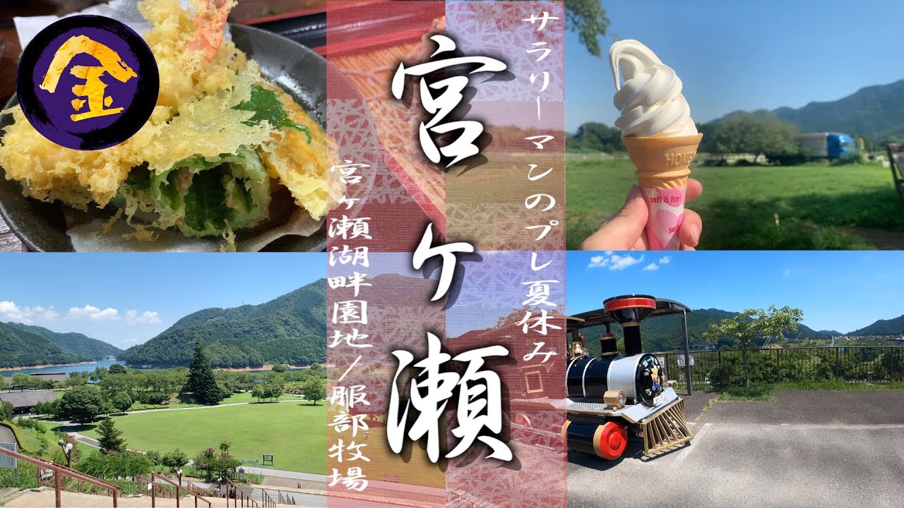 宮ヶ瀬湖畔園地｜神奈川コスパ最強観光スポット「都心から一番近いオアシス」。服部牧場でソフトクリーム食べたくて🍦