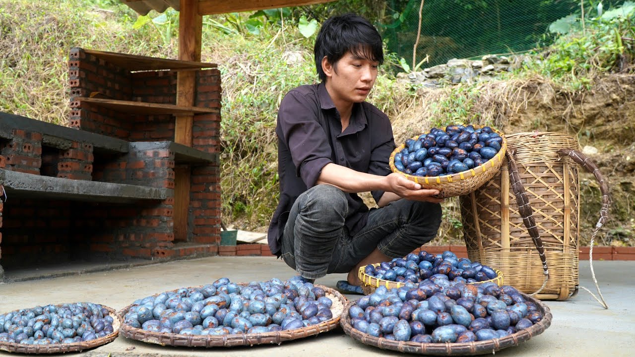 180 days Harvest agricultural products, sell palm trees, turmeric, grapefruit - build a bathroom