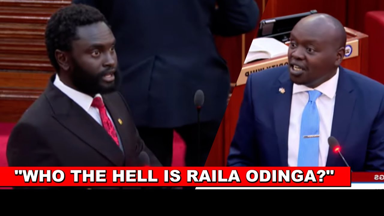 DRAMA! Watch how Sen. Methu silenced Cherargei for saying Raila will be made prime minister of Kenya