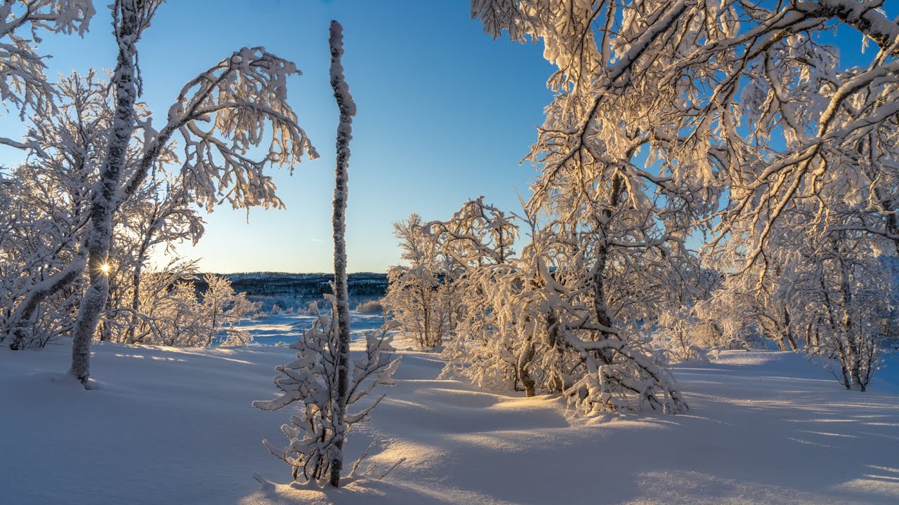 Første soldag i  15  minus