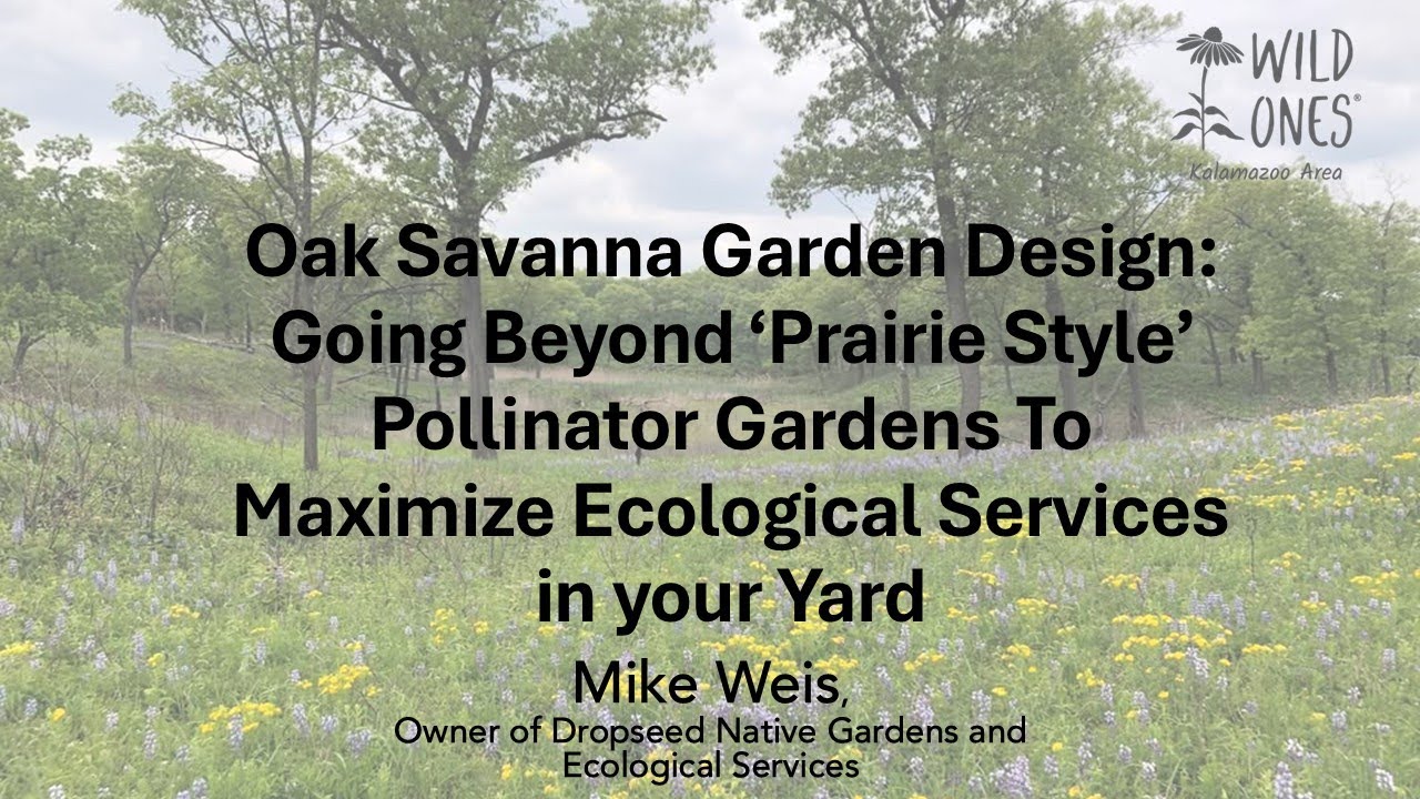 Oak Savanna Garden Design: Going Beyond 'Prairie Style' Pollinator Gardens