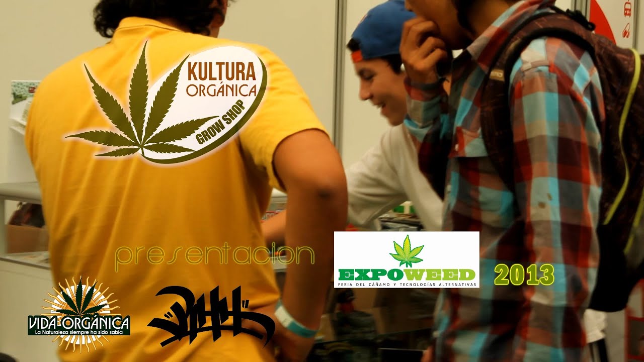 MR OIZO Flat Beat KULTURAORGANICA expoweed Chile 2013
