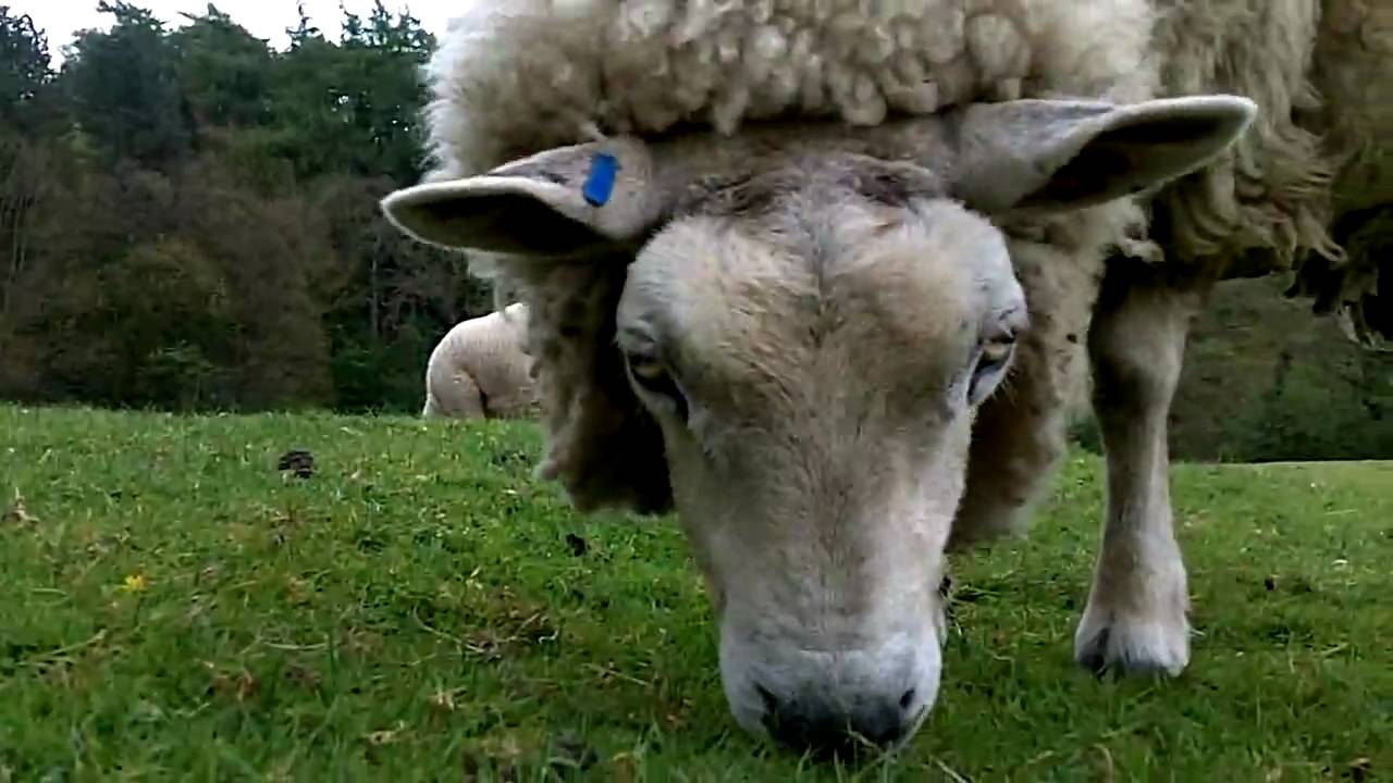 The Dales Way