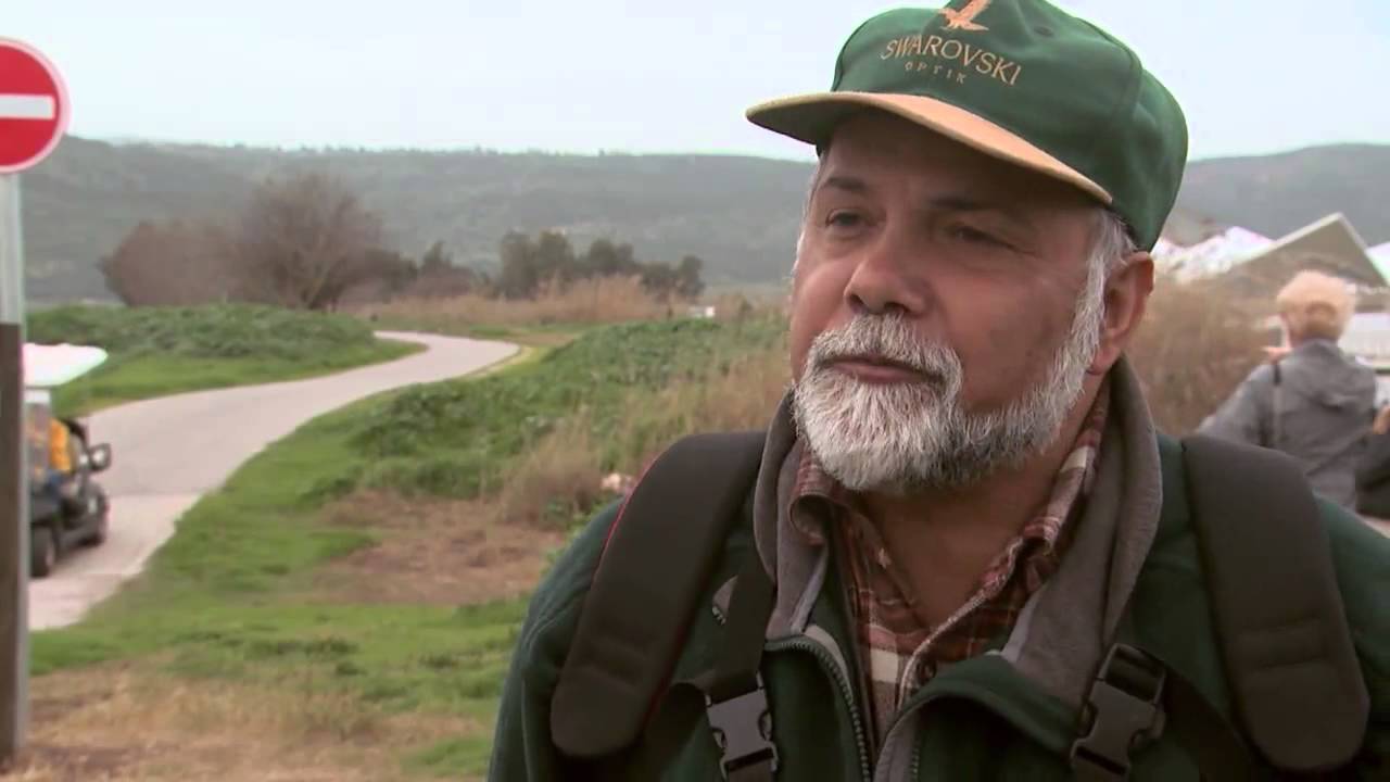 Israel's Hula Valley: A Bird Watcher's Paradise - CBN.com