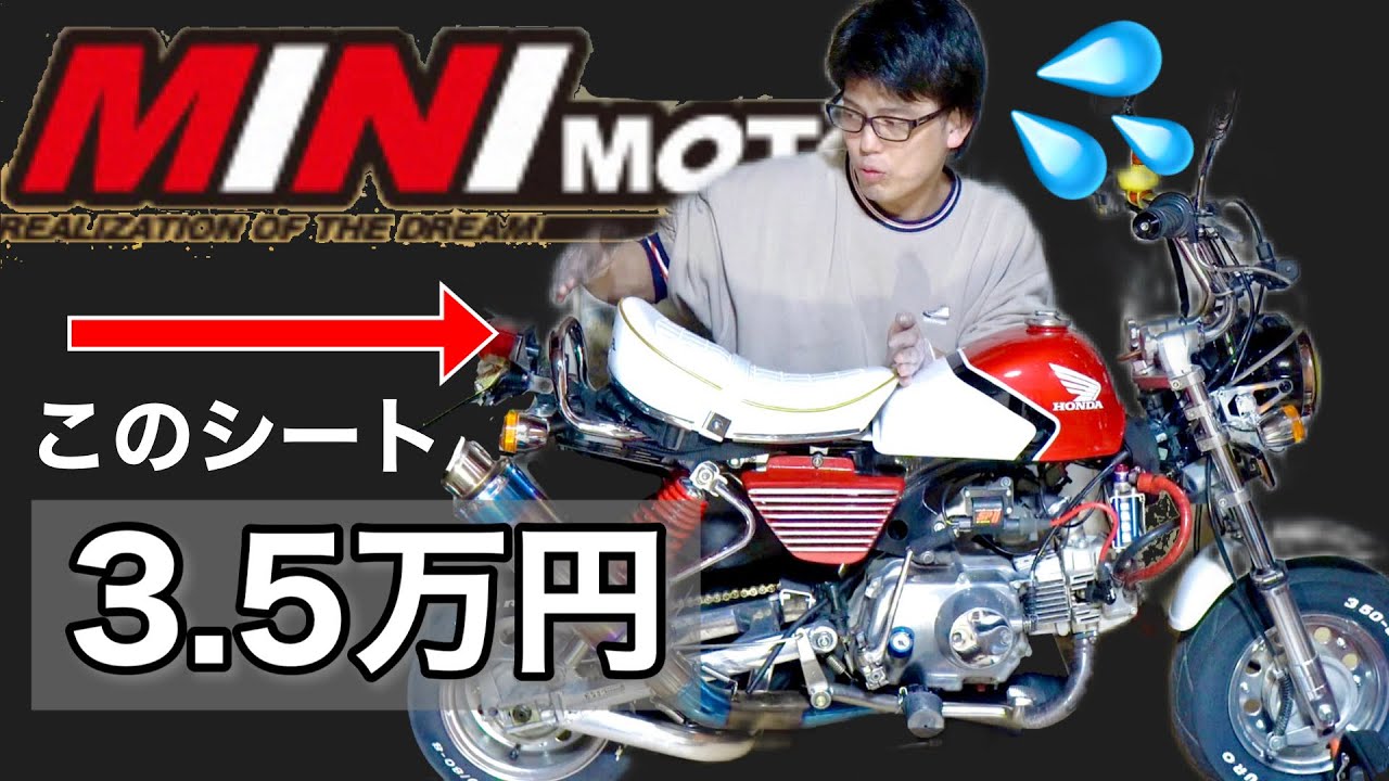 【メシウマ】3万5千円の超高級シート購入したけど・・