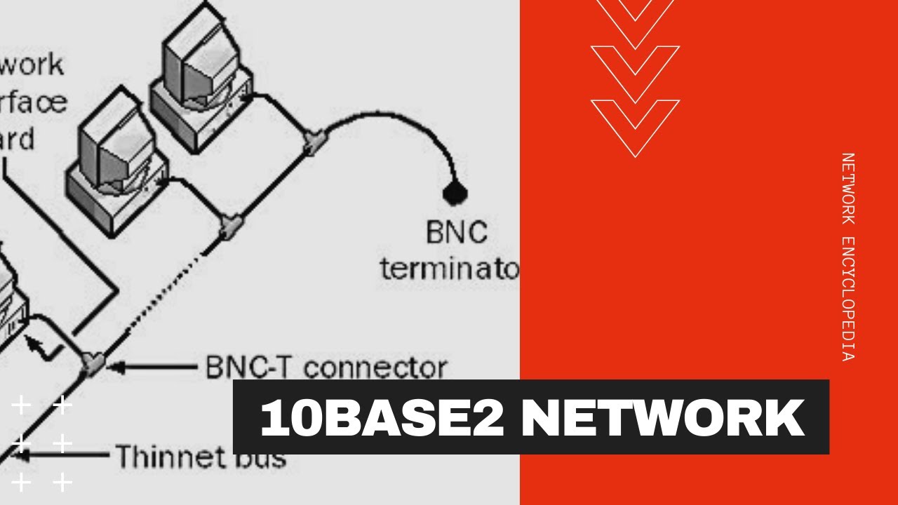 What is a 10Base2 Network - Network Encyclopedia