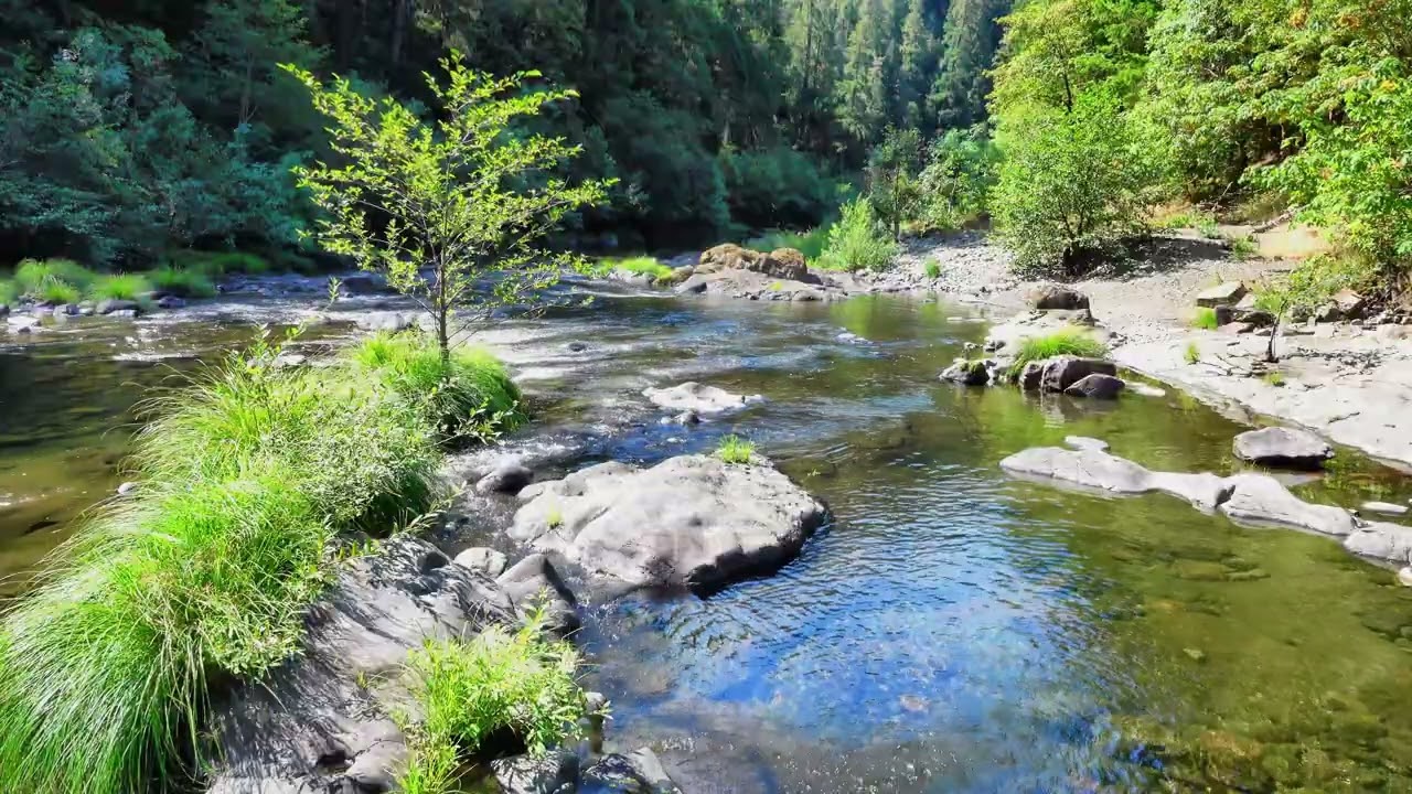 Relaxing River Sounds - Peaceful Forest River - 1 Hours Long - 4K - Nature Video