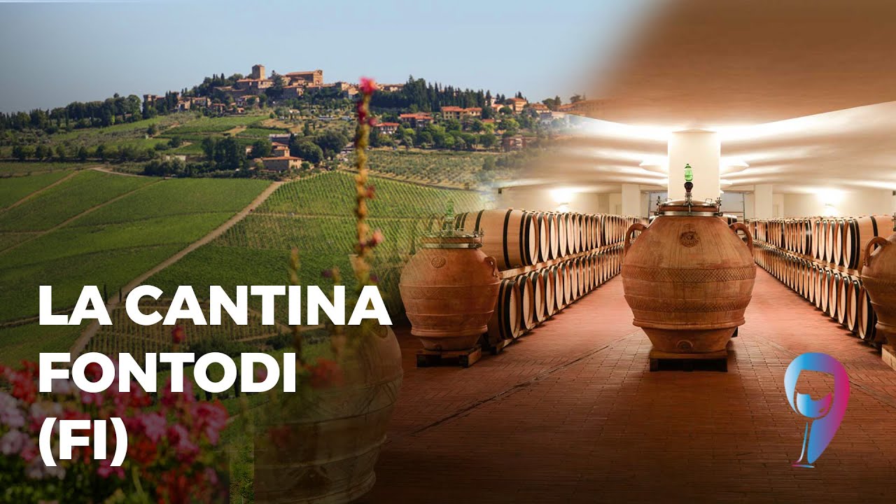 La Cantina Fontodi (FI)