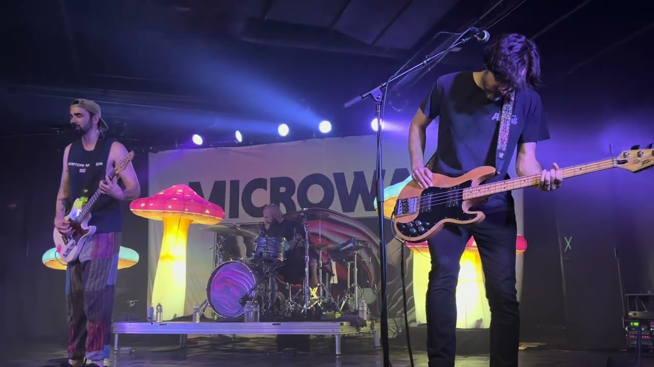 Microwave - 