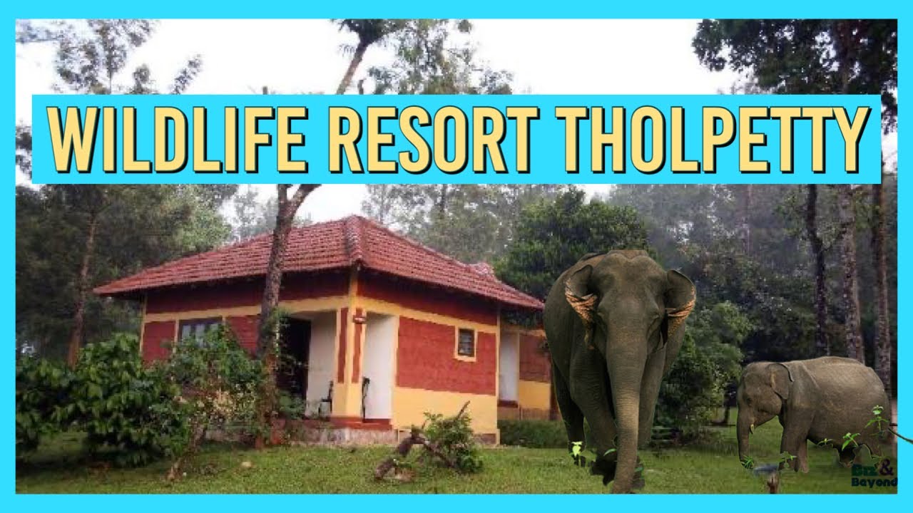 Wildlife Resort Staycation at Tholpetty, Wayanad | Pool Access in the Heart of the Forest