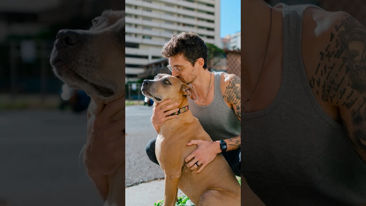 Randomly running into a YouTuber (and his dog) in Hawaii 🏝️ 