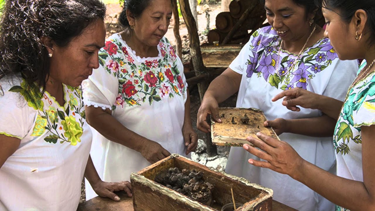 En Pro de la Mujer, Yucatán  Miel Melipona