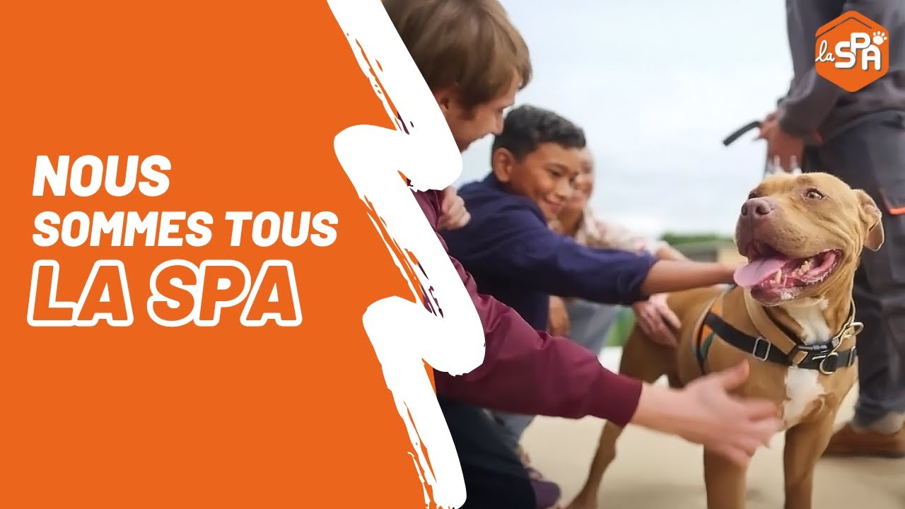 180 ans de protection animale 🧡 Nous sommes tous la SPA