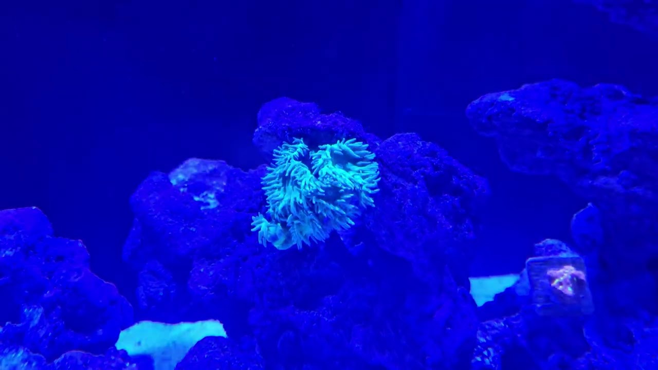 Tank update! So far so good! 