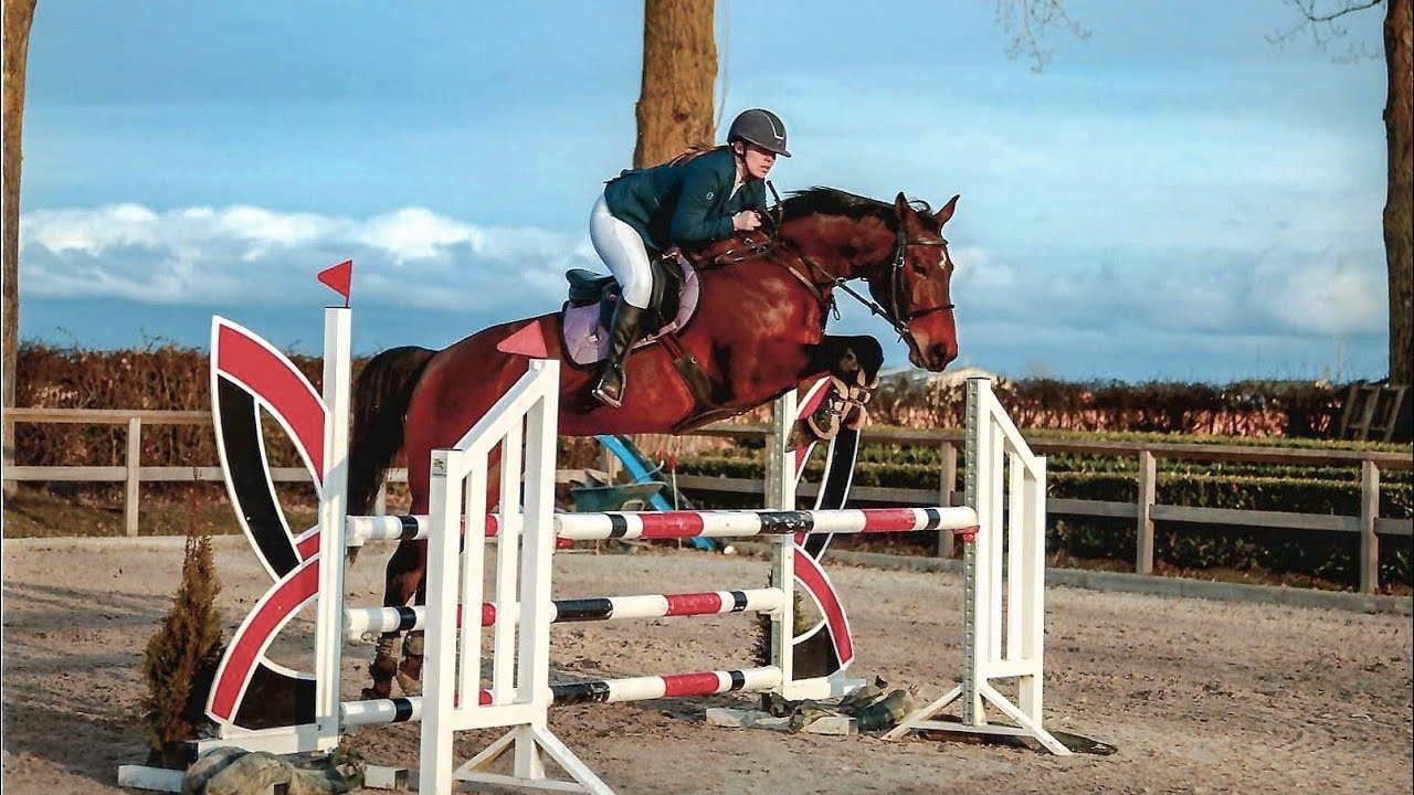 20260201, Haras des Waleffes, 1m, Maia, 4de
