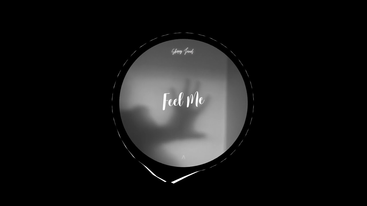Shiraz Javed - Feel Me (Original Mix)